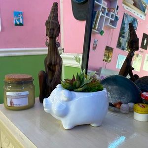 Pig succulent decor
